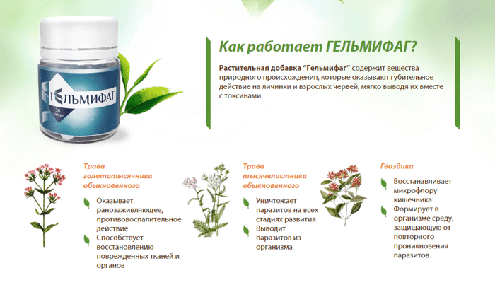 Гельмифаг: Обзор натурального комплекса для поддержания здоровья кишечника — Фото 4