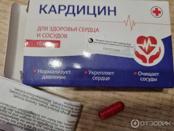 Кардицин: Путь к Гармонии Сердца и Сосудов — Фото 4