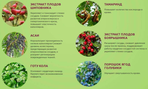 Гипертоникс — капли от гипертонии
Гипертоникс — капли от гипертонии