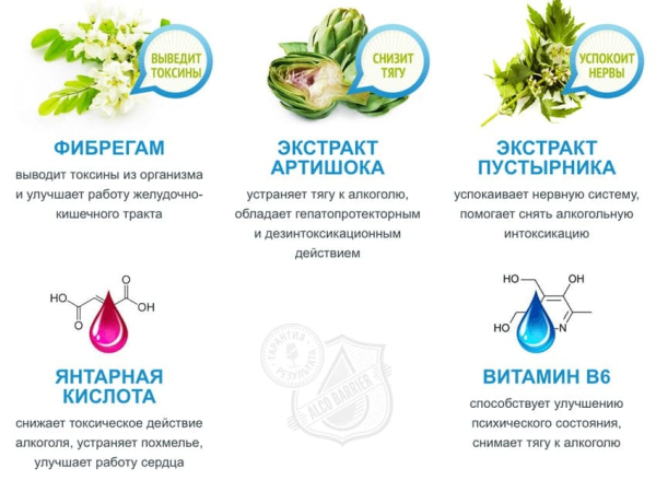 
				АлкоБарьер			