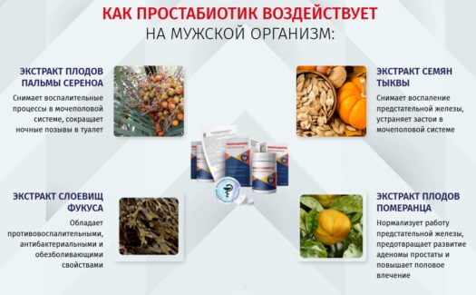 Простабиотик — капсулы: Комплексный подход к мужскому здоровью — Фото 3