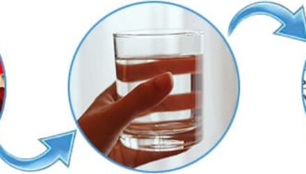 Дао Слим: Путь к Гармонии – Обзор Пастилок для Контроля Веса