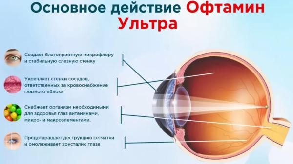 Офтамин Ультра капли для глаз
Офтамин Ультра капли для глаз