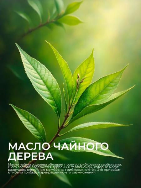 
				Ноготок &mdash; мазь от грибка			