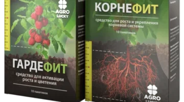 Корнефит и Гардефит			: реальные и отрицательные мнения покупателей и специалистов, где купить, цена, инструкция по применению