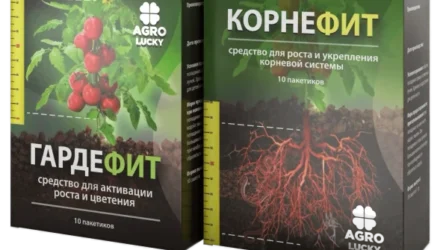Корнефит и Гардефит			: реальные и отрицательные мнения покупателей и специалистов, где купить, цена, инструкция по применению