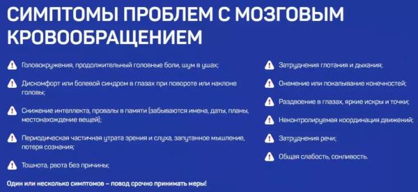 
				Synertia (Синертиа) &mdash; саше для мозга			