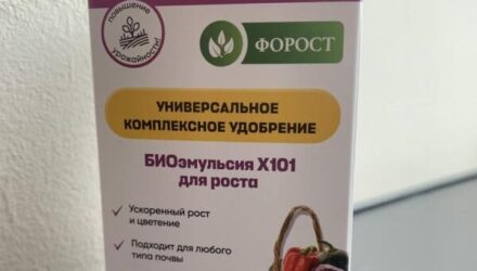 Форост: революционное удобрение, которое возвращает почве жизнь (отзывы агрономов и дачников)