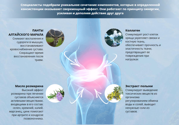 
				Rapid relief (Рапид Рельеф) &mdash; средство для суставов			